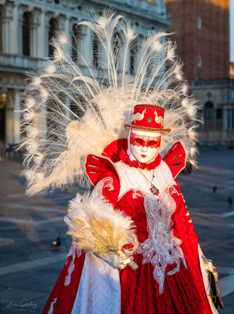 Photography Workshop at the Venice Carnival 17