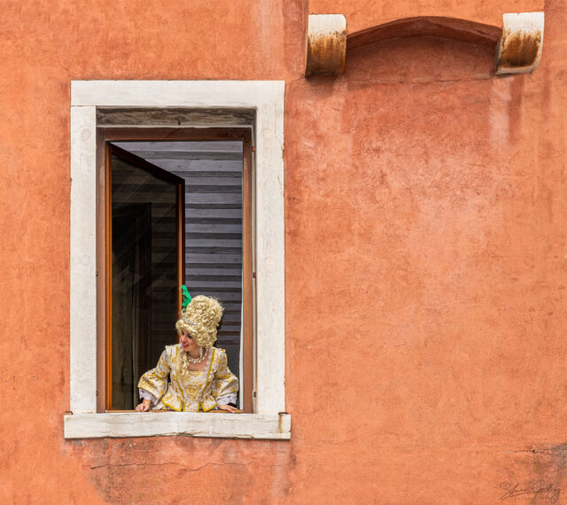 Photography Workshop at the Venice Carnival 27