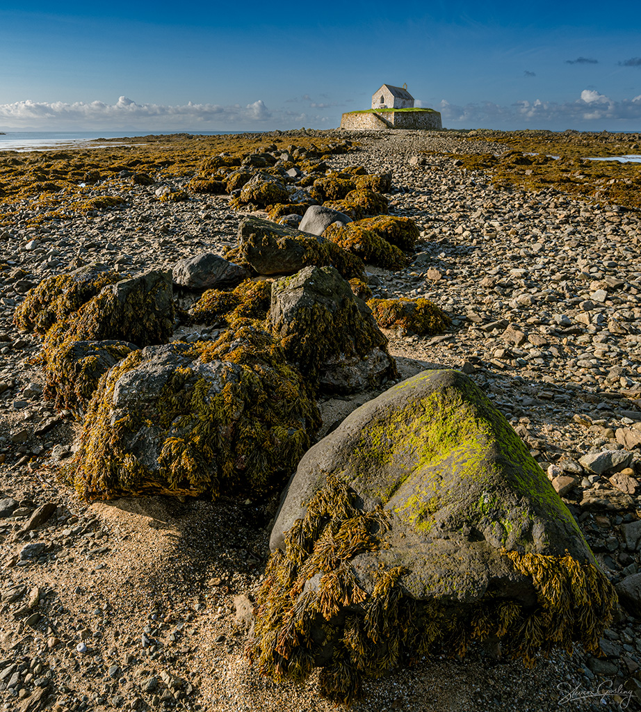 Anglesey Coast & North Wales Weekend Landscape Workshop 18